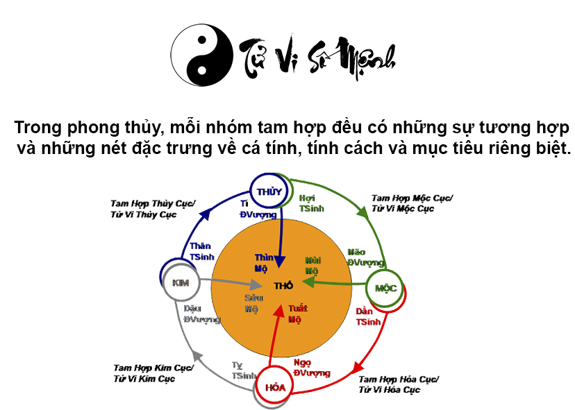 Tam hợp là gì và ý nghĩa của tuổi tam hợp