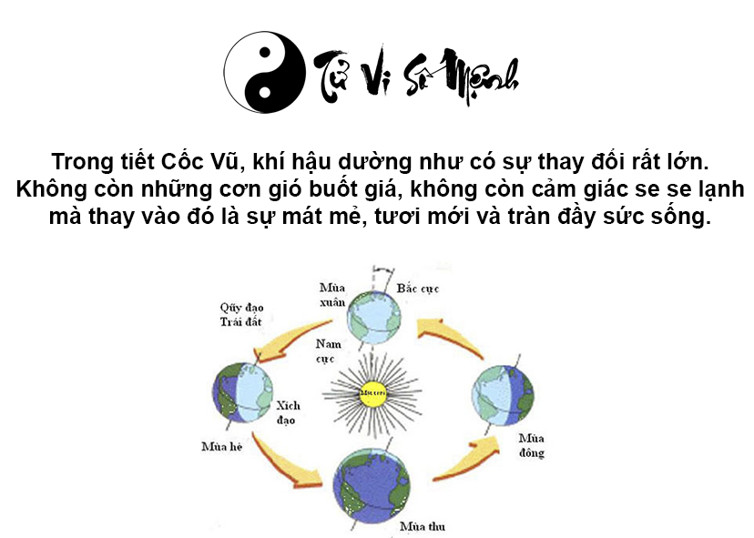 Đặc điểm và ý nghĩa tiết khí Cốc Vũ