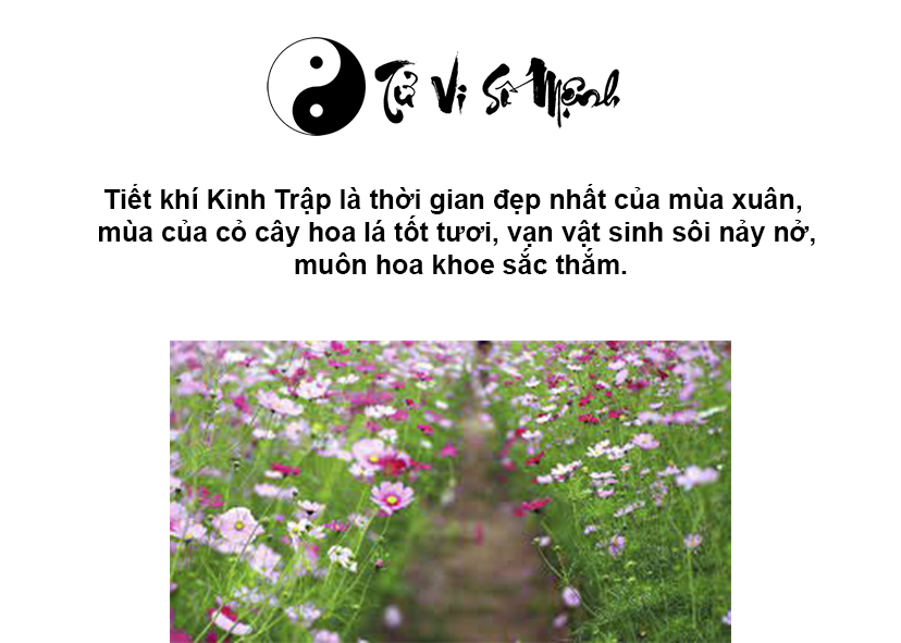 Tiết khí Kinh Trập có đặc điểm và ý nghĩa gì