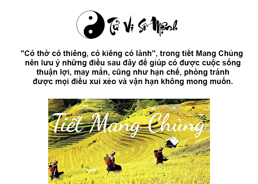 Đặc điểm và ý nghĩa của tiết khí Mang Chủng