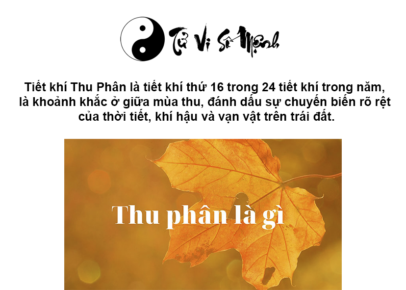 Tiết Thu Phân là gì và ý nghĩa của tiết Thu Phân