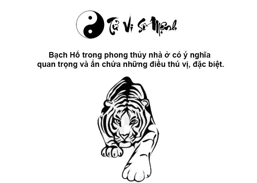 Bạch hổ là con gì và ý nghĩa của nó