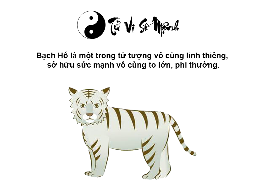 Bạch hổ là con gì và ý nghĩa của nó