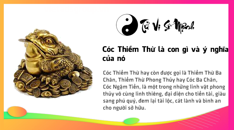 Cóc Thiềm Thừ là con gì và ý nghĩa của nó