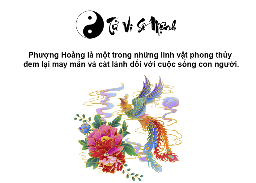 Phượng hoàng là con gì và ý nghĩa của Phượng Hoàng