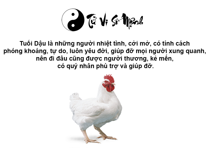 Tuổi Dậu là con gì và người tuổi Dậu sinh năm bao nhiêu