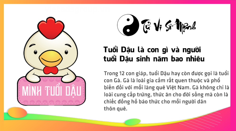 Tuổi Dậu là con gì và người tuổi Dậu sinh năm bao nhiêu