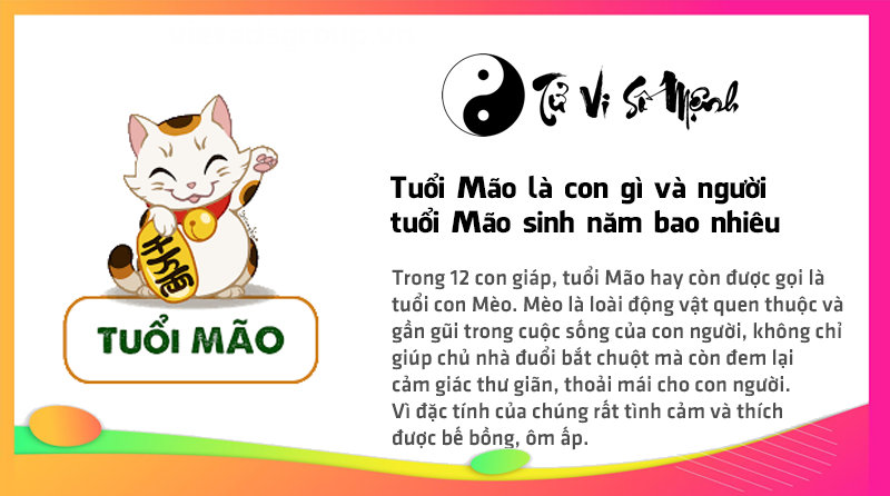 Tuổi Mão là con gì và người tuổi Mão sinh năm bao nhiêu