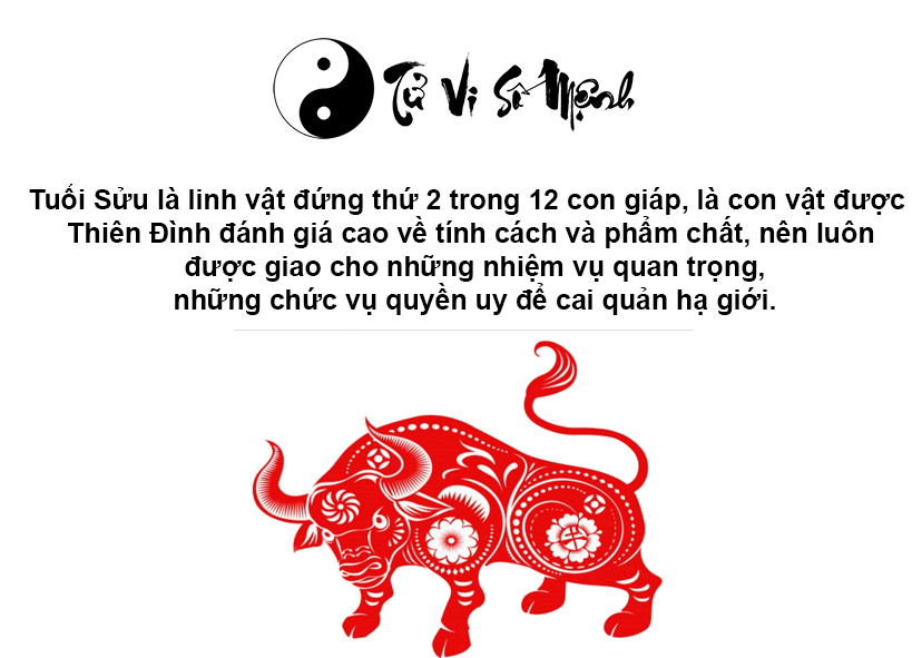 Tuổi Sửu là con gì và người tuổi Sửu sinh năm bao nhiêu