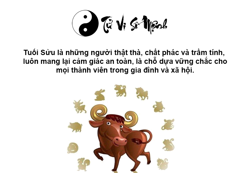 Tuổi Sửu là con gì và người tuổi Sửu sinh năm bao nhiêu