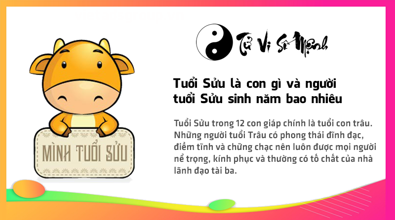 Tuổi Sửu là con gì và người tuổi Sửu sinh năm bao nhiêu