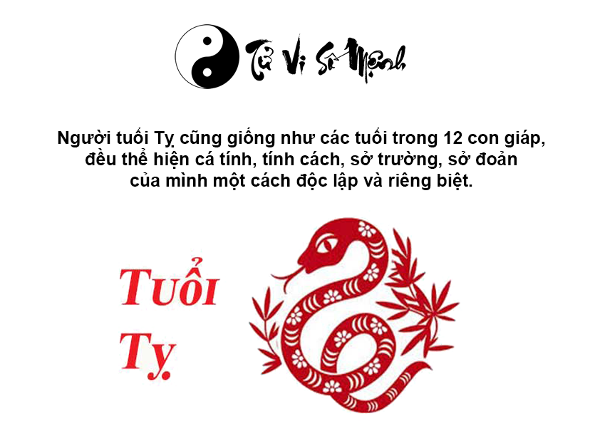 Tuổi Tỵ là con gì và người tuổi Tỵ sinh năm bao nhiêu