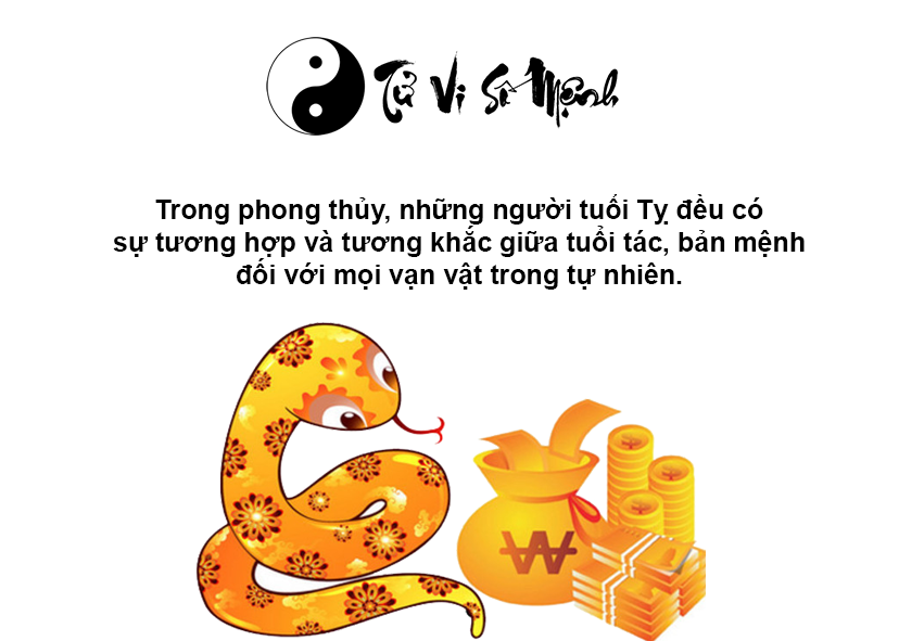 Tuổi Tỵ là con gì và người tuổi Tỵ sinh năm bao nhiêu