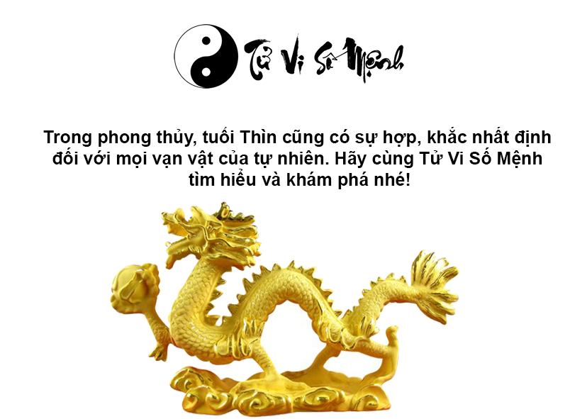 Tuổi Thìn là con gì và người tuổi Thìn sinh năm bao nhiêu