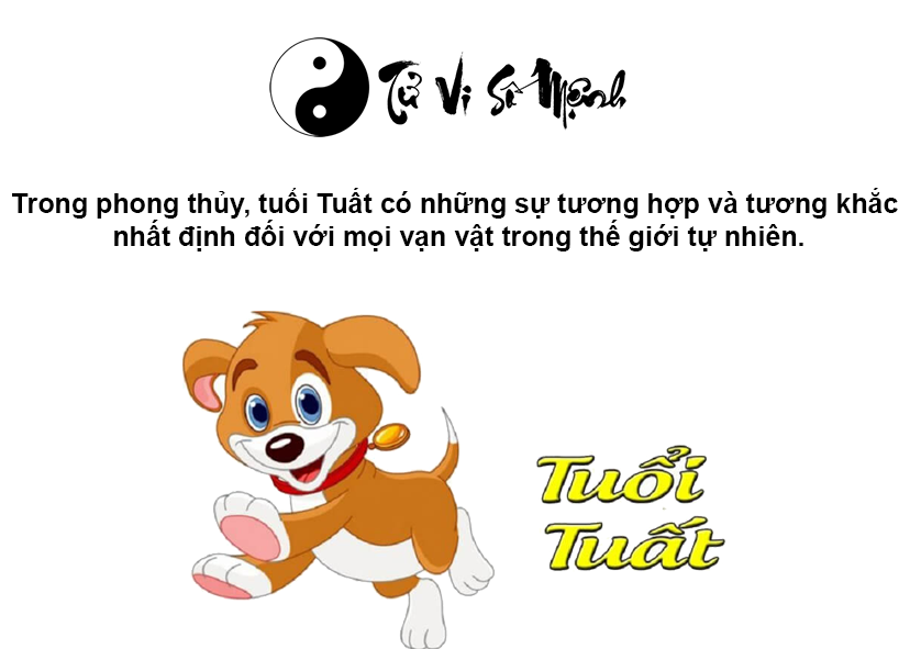 Tuổi Tuất là con gì và người tuổi Tuất sinh năm bao nhiêu