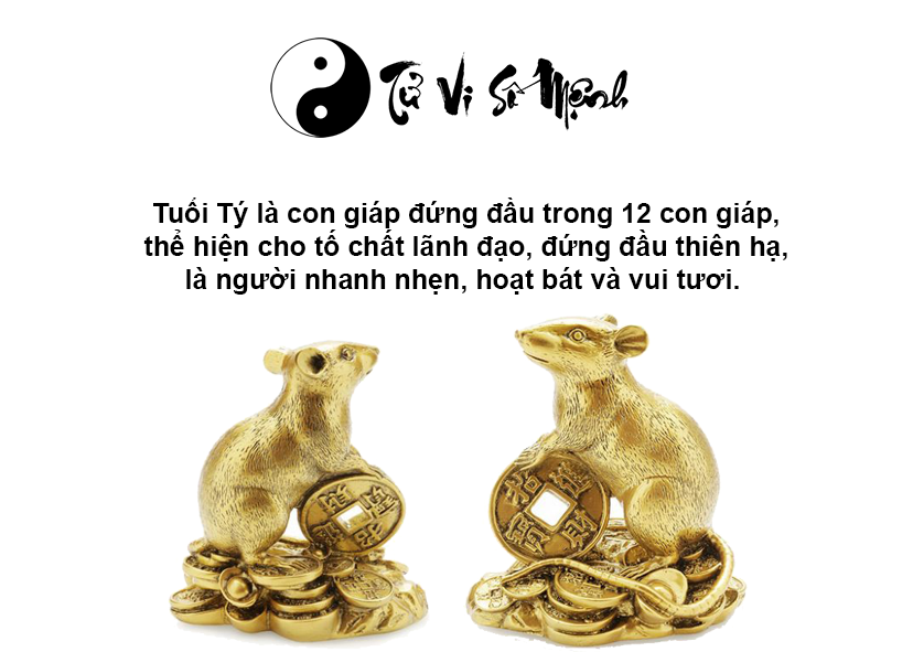 Tuổi Tý là con gì và người tuổi Tý sinh năm bao nhiêu