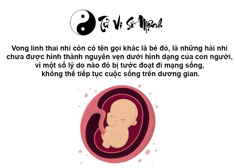 Bài cúng cầu siêu cho các vong linh thai nhi