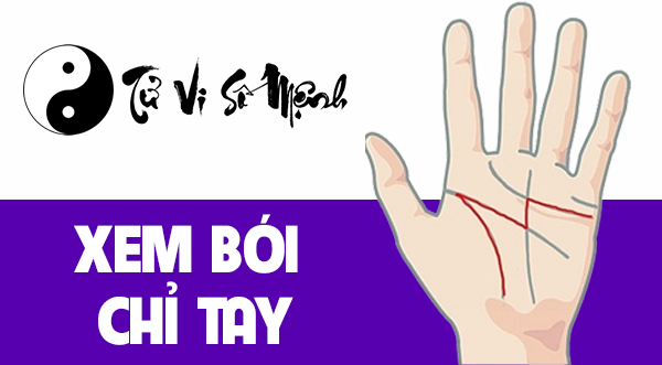 Top 20 coi bói chỉ tay tốt nhất 6 Xem bói chỉ tay trên bàn tay chính xác - Tử Vi Số Mệnh