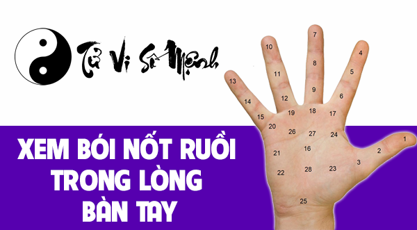 Xem bói nốt ruồi trong lòng bàn tay