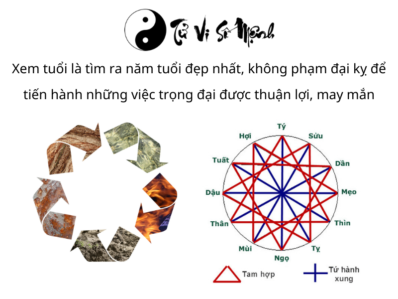 xem tuổi, tra cứu tuổi