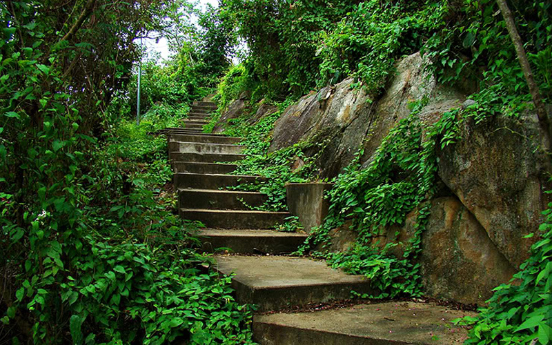 XIN XĂM BÀ CHÚA XỨ