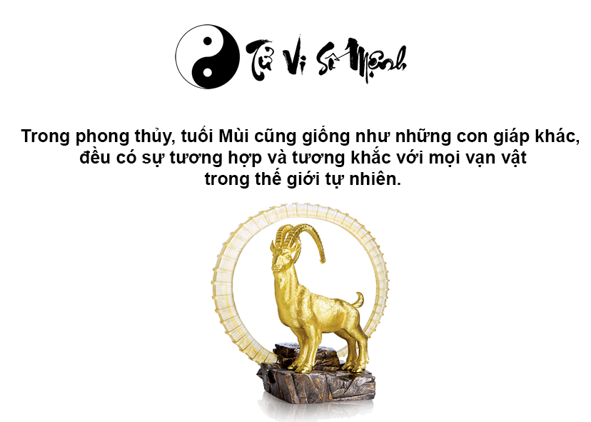 Tử vi trọn đời tuổi Mùi và những điều thú vị xoay quanh tuổi Mùi