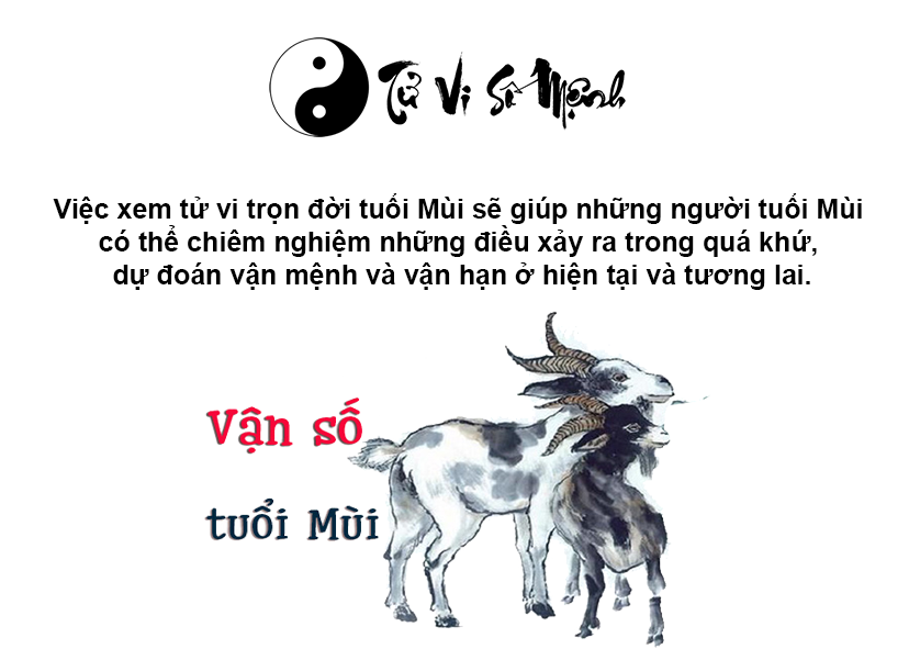 Tử vi trọn đời tuổi Mùi và những điều thú vị xoay quanh tuổi Mùi