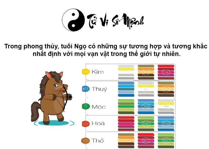 Tử vi trọn đời tuổi Ngọ và những điều thú vị xoay quanh tuổi Ngọ