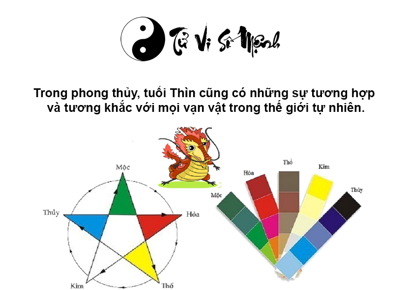 Tử vi trọn đời tuổi Thìn và những điều thú vị xoay quanh tuổi Thìn