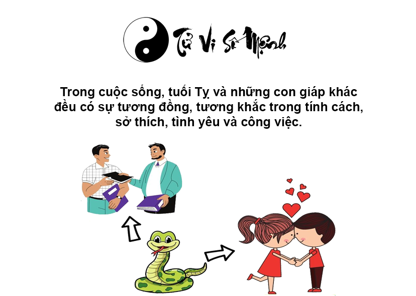 Tử vi trọn đời tuổi Tỵ và những điều thú vị xoay quanh tuổi Tỵ