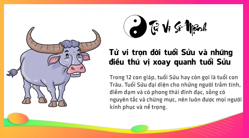 Tử vi trọn đời tuổi Sửu và những điều thú vị xoay quanh tuổi Sửu