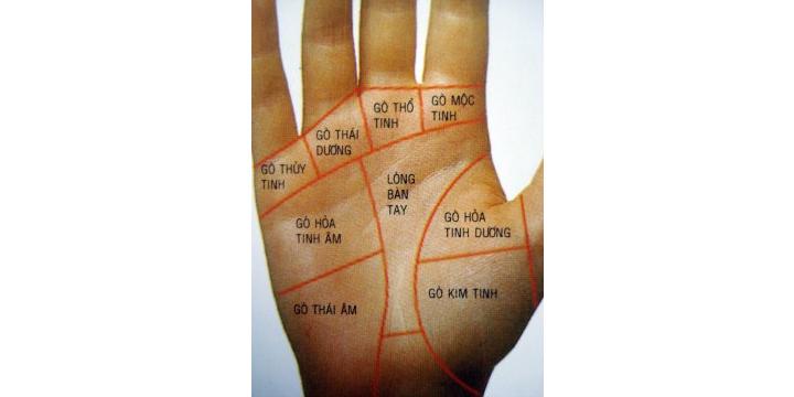 Vị trí và ý nghĩa các gò có trên lòng bàn tay